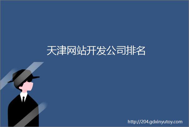 天津网站开发公司排名